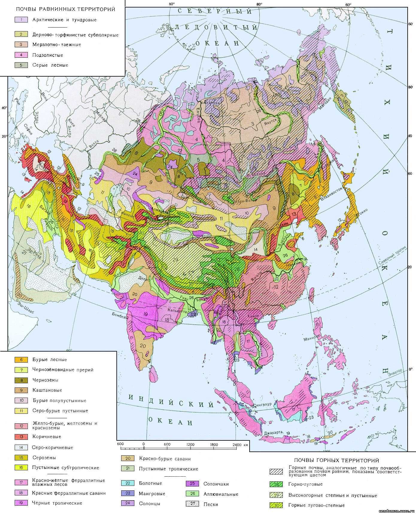 Почвенная карта азии